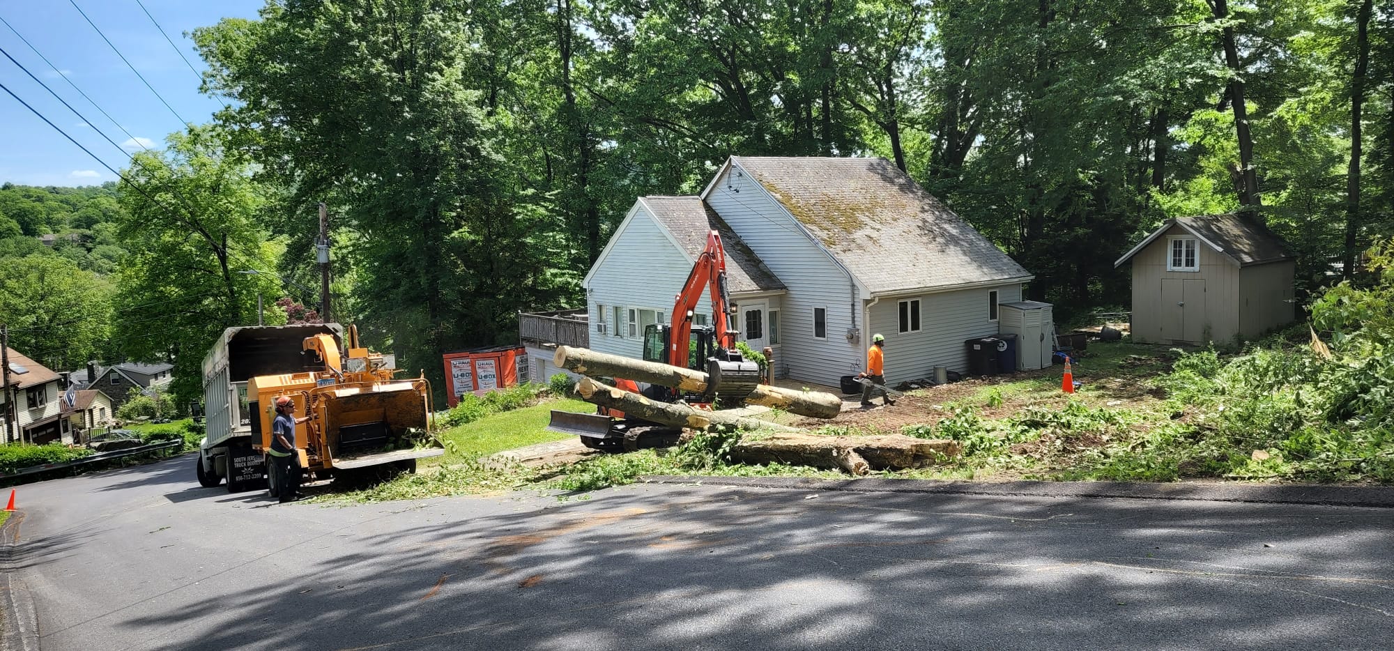 Little Stevies Tree Work